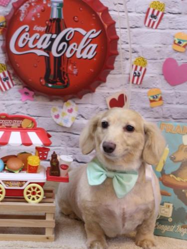 20230906テヤンくん